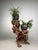 Large Japanese Burl Root Wood Plant Stand, 1920s For Sale - Image 9 of 18