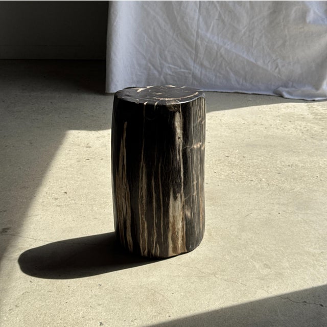Contemporary Side Table in Black Petrified Wood with White Sides and Beige Striations, 1980s For Sale - Image 3 of 18