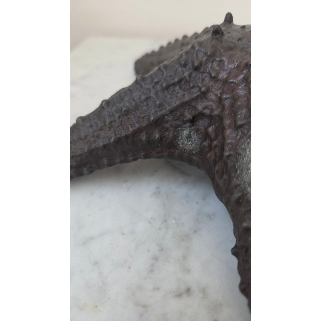 Late 20th Century Maitland-Smith Dark Patina Starfish Tabletop Sculpture For Sale - Image 11 of 17