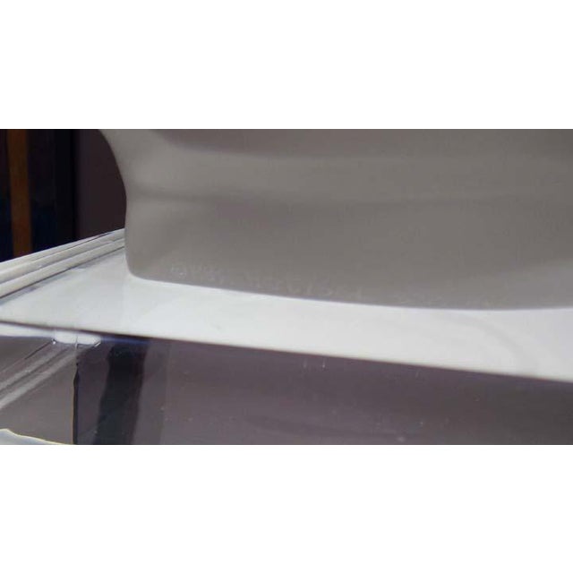 Frederick Hart "Penumbra" (Acrylic) Lucite Hand Signed Beautiful For Sale - Image 18 of 18