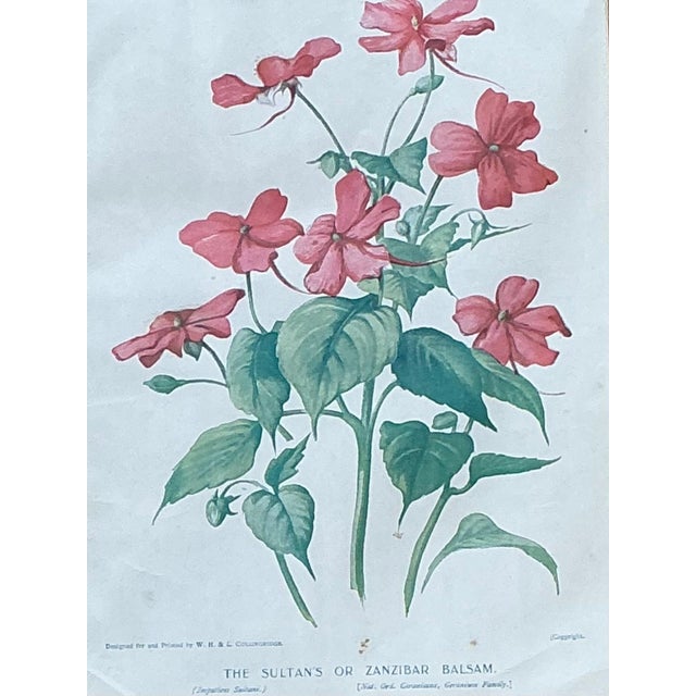Vintage Botanical Floral Prints in Gilt Frames - Set of 3 For Sale - Image 15 of 16