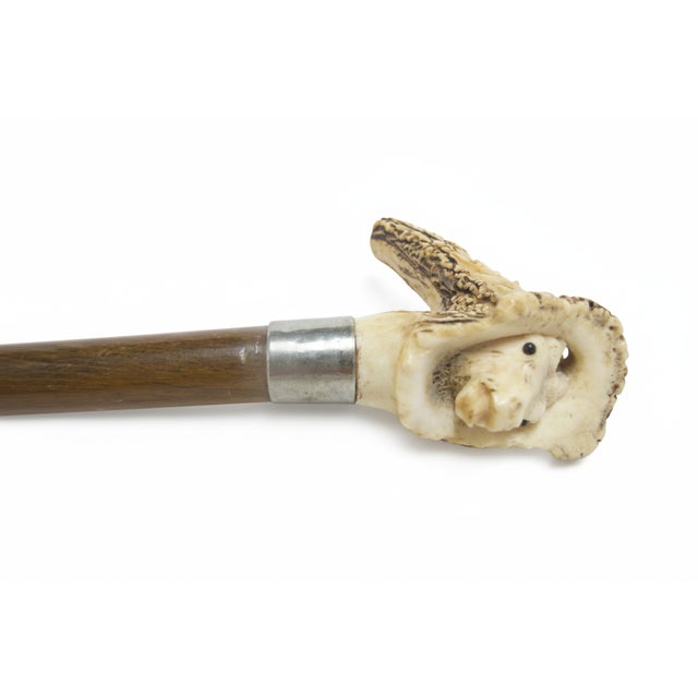 Reindeer Carved Stag Deer Antler Handle Antique Walking Stick Cane For Sale - Image 9 of 13