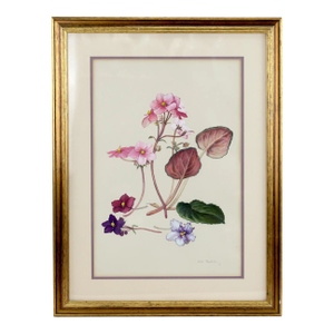 Hand-Painted Watercolor Specimen Flower Painting, Signed