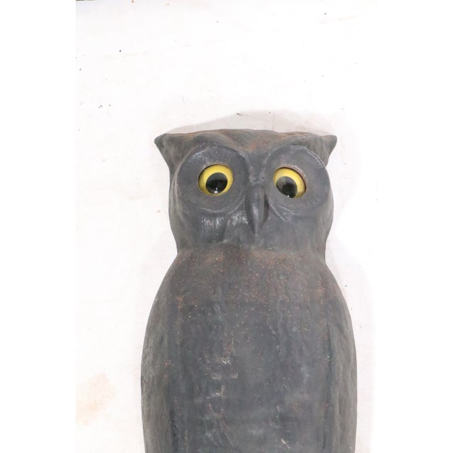 Large Pair of Vintage Arts and Crafts Rustic Victorian Owl Andirons With Glass Eyes For Sale - Image 12 of 14