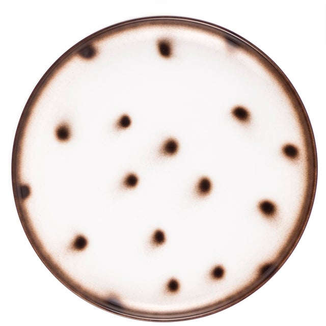 Yellow Dots Porcelain Collection Plate from Litolff For Sale - Image 9 of 16