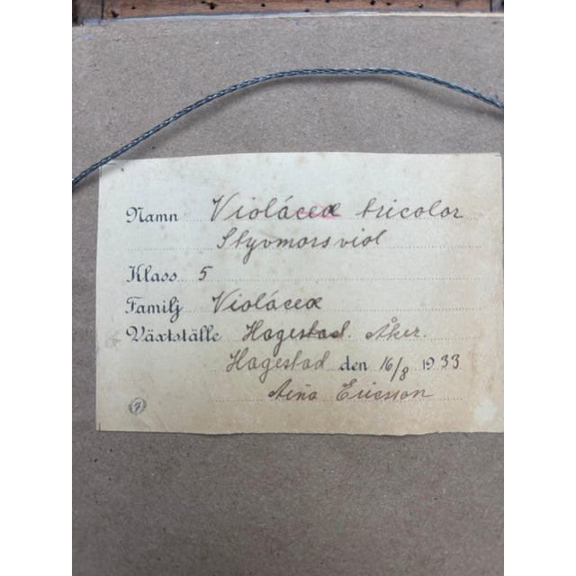 Tramp Art Frame With Pressed Flowers, Dated 1933 For Sale In Philadelphia - Image 6 of 6