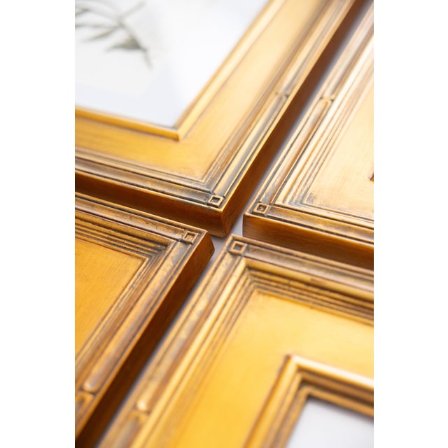 Custom Framed Vintage Finnish Herbarium Botanical Specimens, Set of Four For Sale - Image 13 of 16