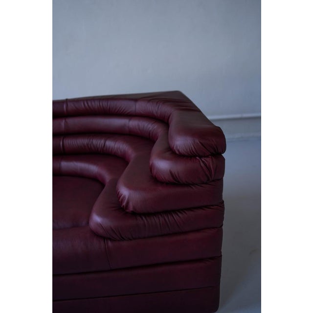 Terrazza Landscapes in Burgundy Leather by Ubald Klug for de Sede, 1970s, Set of 4 For Sale - Image 17 of 18