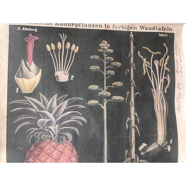 Karl Bohrmann - Digital Collection