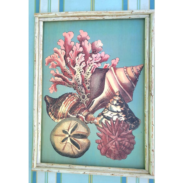 Coastal Distressed Pale Blue Striped Seashell Framed Art - a Pair For Sale - Image 9 of 11