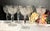 This is for set of 6 lovely Bohemia Cut Crystal Wine glasses that each hold 8 Oz. These are 24% lead crystal and are just...