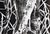 1990s Christian Bauer, Nude, Adrian, 1990s, Ink & Pencil For Sale - Image 5 of 13