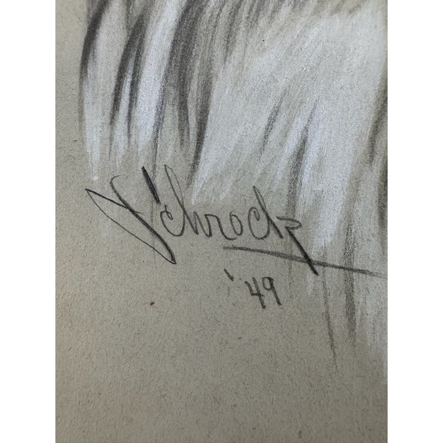 1940s Original Signed Graphite Portrait of Collie Dog, 1949, 11 × 8.25 In. For Sale - Image 5 of 6