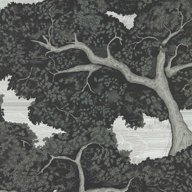 Harlequin Eternal Oak Wallpaper in Ebony/FirstLight - a Sample For Sale