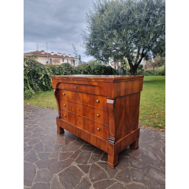 Empire Chest of Drawers 1830 in Walnut Veneer For Sale - Image 6 of 14