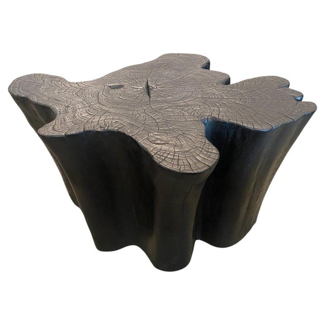 Andrianna Shamaris Amorphous Charred Teak Wood Coffee Table For Sale - Image 15 of 18