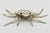 Mexican 1980s Emilia Castillo Articulated Crab Sculpture, Silver Plated Brass, Mexican Art For Sale - Image 3 of 13