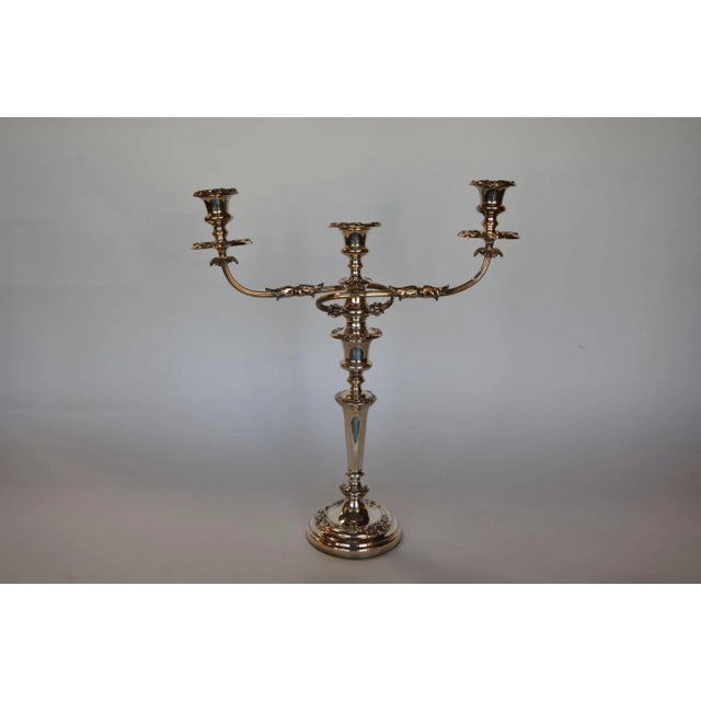 Early 20th Century Twisted Silver Candelabras- a Pair For Sale - Image 4 of 11