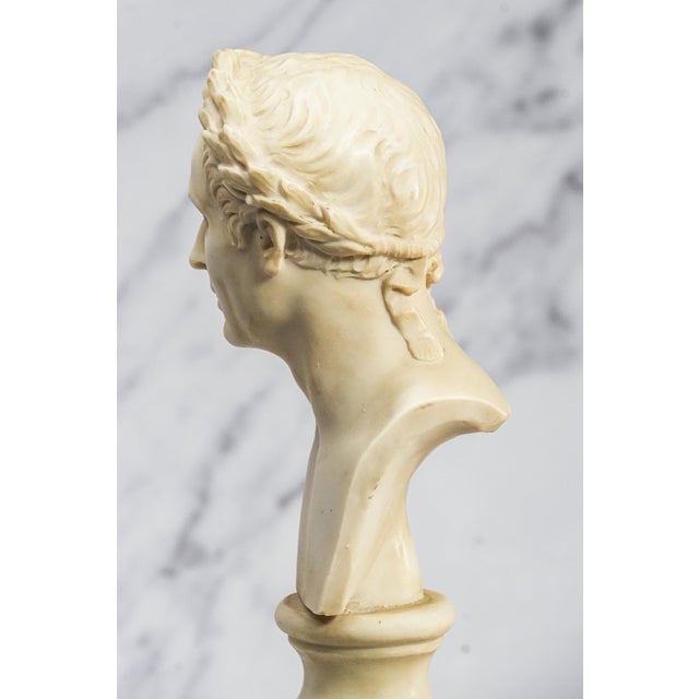 Plastic Vintage Roman Julius Caesar Man Bust Statue Classical Grand Tour Style Sculpture Home Decor For Sale - Image 7 of 14