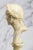 Plastic Vintage Roman Julius Caesar Man Bust Statue Classical Grand Tour Style Sculpture Home Decor For Sale - Image 7 of 14