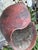 Amazing French seashell planter. Please look at pictures for overall detail and measurements. Feel free to reach out with...