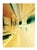 Paul Cooklin, Celestial Planes 3, Edition of 50 For Sale