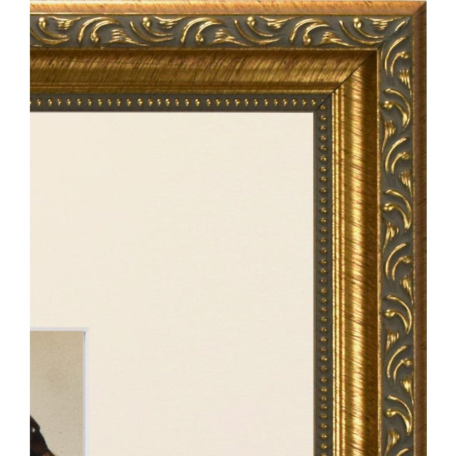 Mid 19th Century 19th Century English Handcolored Cattle / Cow Engraving by Goldsmith For Sale - Image 5 of 5