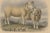 Mid 19th Century Fairland after W. Nicholson, Ram and Ewe of the Dorset Breed, 1841, Lithograph For Sale - Image 5 of 6