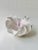 Ceramic Coral Bowl by N'atelier For Sale - Image 14 of 18