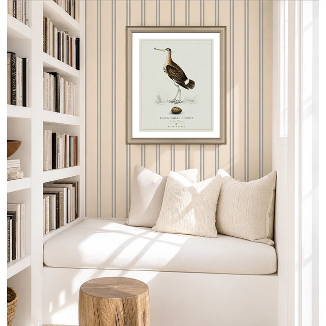William Lewin 1789 Waterbirds Fine Art Gallery Board Print - Black Tailed Godwit For Sale - Image 12 of 13
