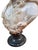 19th-Century Italian Alabaster Bust, Likely of the “Song of Solomon’s” Shulamite For Sale - Image 10 of 17