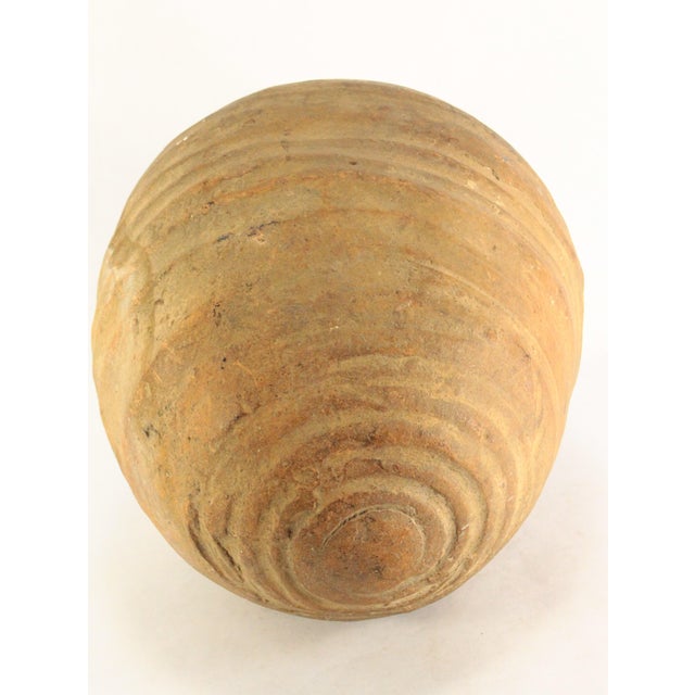 Spanish Colonial Redware Terracotta Amphorae Jar for Fine Wines For Sale - Image 16 of 18