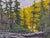 This gouache painting captures a serene forest scene, where sunlight filters through tall trees, illuminating the vibrant...
