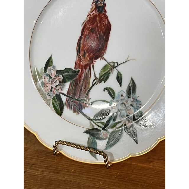 KPM Hand-Painted Cardinal Porcelain Plate, Signed S. Lindenman, Gilt Rim For Sale - Image 4 of 6
