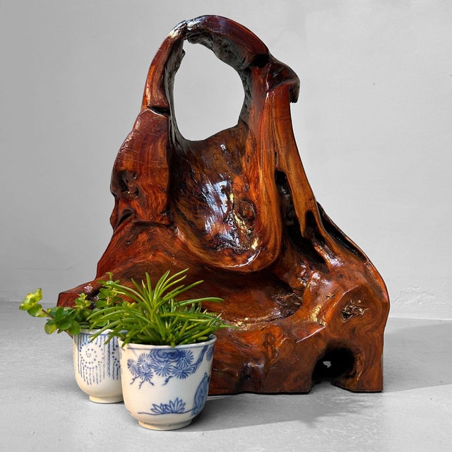 Brown Antique Japanese Tsuge Root Burlwood Ikebana Stand, 1920s For Sale - Image 8 of 11