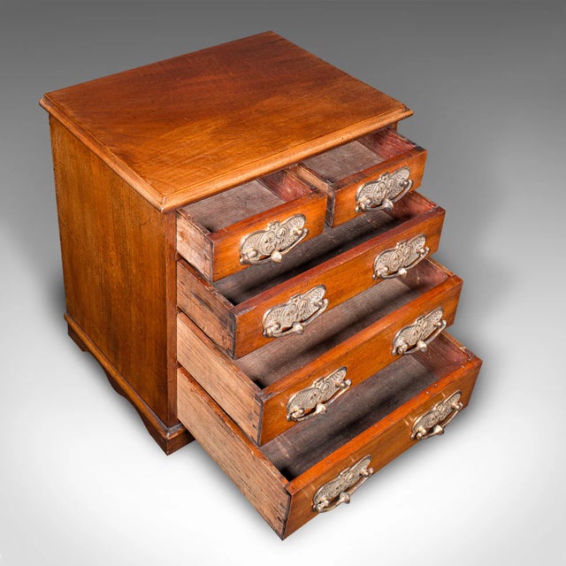 Brown 1900's Antique Desktop Specimen Case For Sale - Image 8 of 10