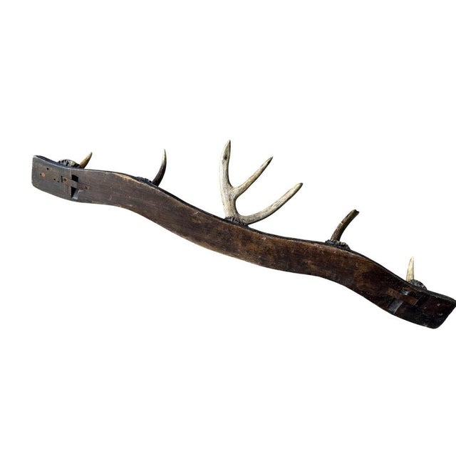1940s 1940s German Antler Rack Hat Clothes For Sale - Image 5 of 5