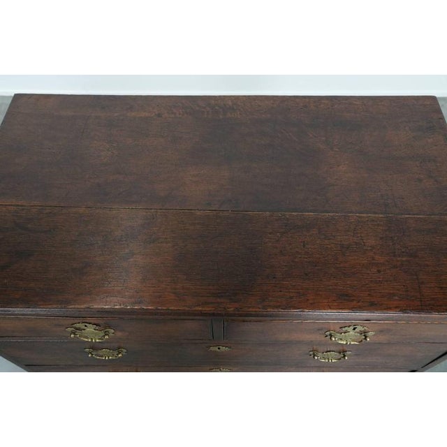 Wood Antique English Chest of 5 Drawers For Sale - Image 7 of 16