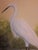 Hollywood Regency 1976 Coastal White Egret Oil Painting – Framed Accent Piece For Sale - Image 3 of 6