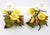 Yellow Candlesticks Tole Painted Metal Butterflies & Flowers 1960s Italy For Sale - Image 8 of 12