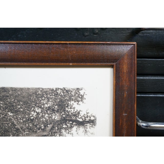 Late 19th Century Antique Ernest C Rost Woman at Trough Panoramic Country Landscape Etching 22" For Sale - Image 5 of 11