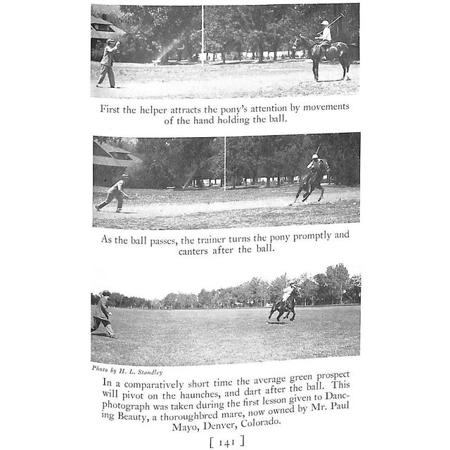"Selection and Training of the Polo Pony" 1934 Cullum, Grove For Sale - Image 12 of 12