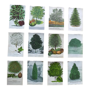 Antique Hand Finished Tree & Shrub Lithographs - Set of 12