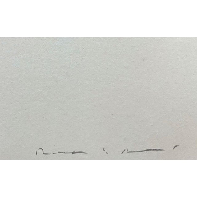 Modern Josep Riera i Arago, Avion à l’hélice verte, Etching For Sale - Image 3 of 4