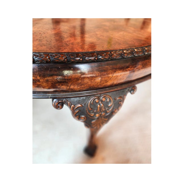 Late 19th Century Antique Burlwood Ball and Claw Dining Table Chairish
