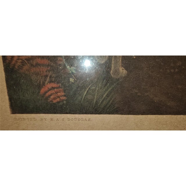 Paint 19th Century, Eas Douglas Hunt Scene Aquatint Engraving For Sale - Image 7 of 13