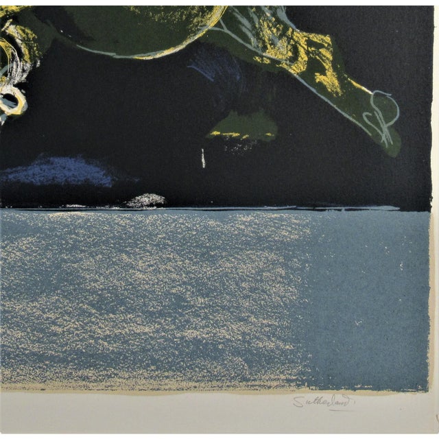 1960s Graham Sutherland, "Chained Beast" from the suite "Bestiary and some Correspondences" For Sale - Image 5 of 7