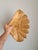 Magnificent vintage decorative platter in hand-carved wood This stunning antique platter features an organic shape...