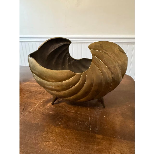 Hair Brass Nautilus Shell For Sale - Image 10 of 12