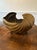 Hair Brass Nautilus Shell For Sale - Image 10 of 12
